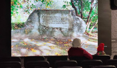 �����������