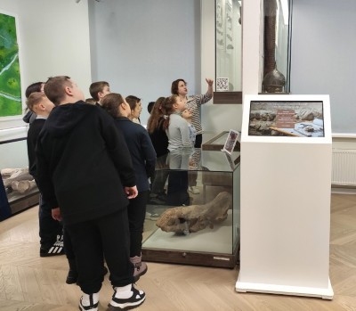 �����������