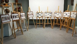 �����������